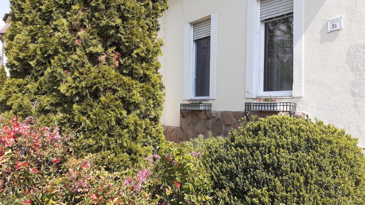 Апартаменты Ekszerdoboz Apartman Эгер Экстерьер фото